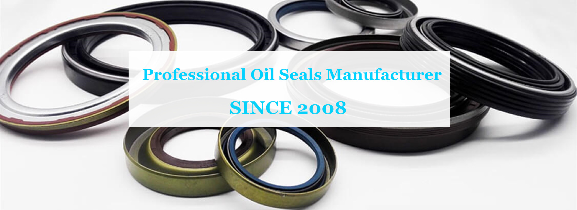 Professional Oil Seals Manufacturer Manufacturer since 2008